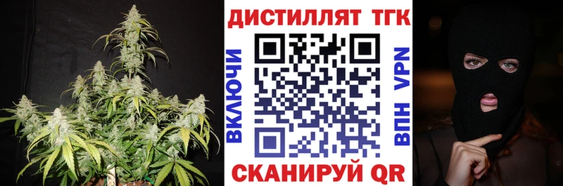 omg ссылка Тайга ТГК концентрат