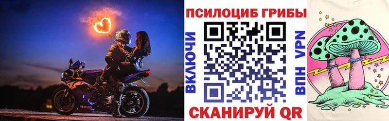 blacksprut сайт  Тайга  Галлюциногенные грибы Cubensis 